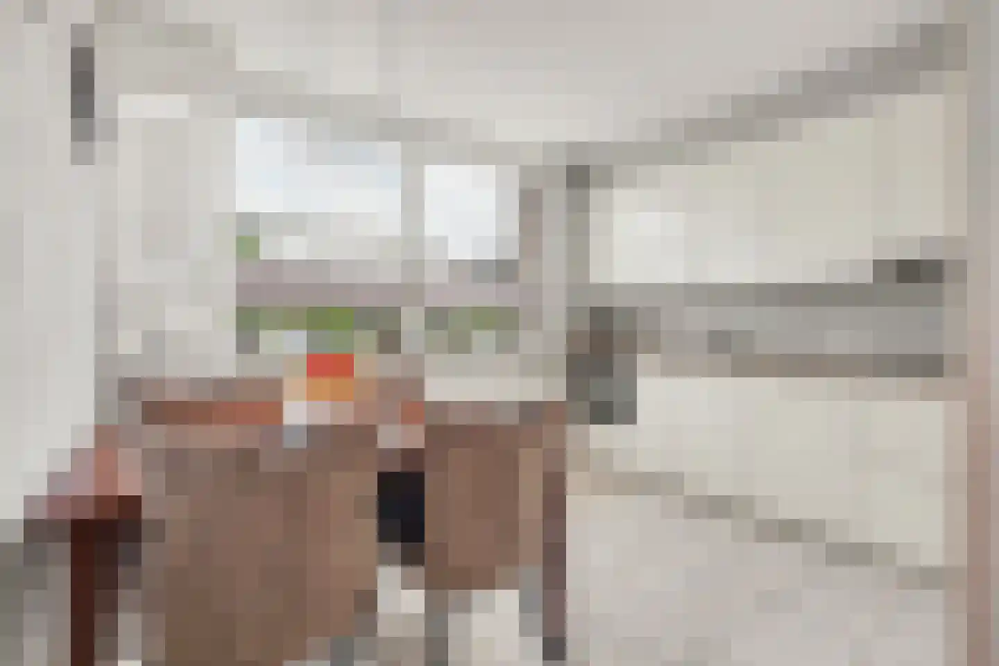 Het Zwanevlot 84 Zutphen thumbnail 14