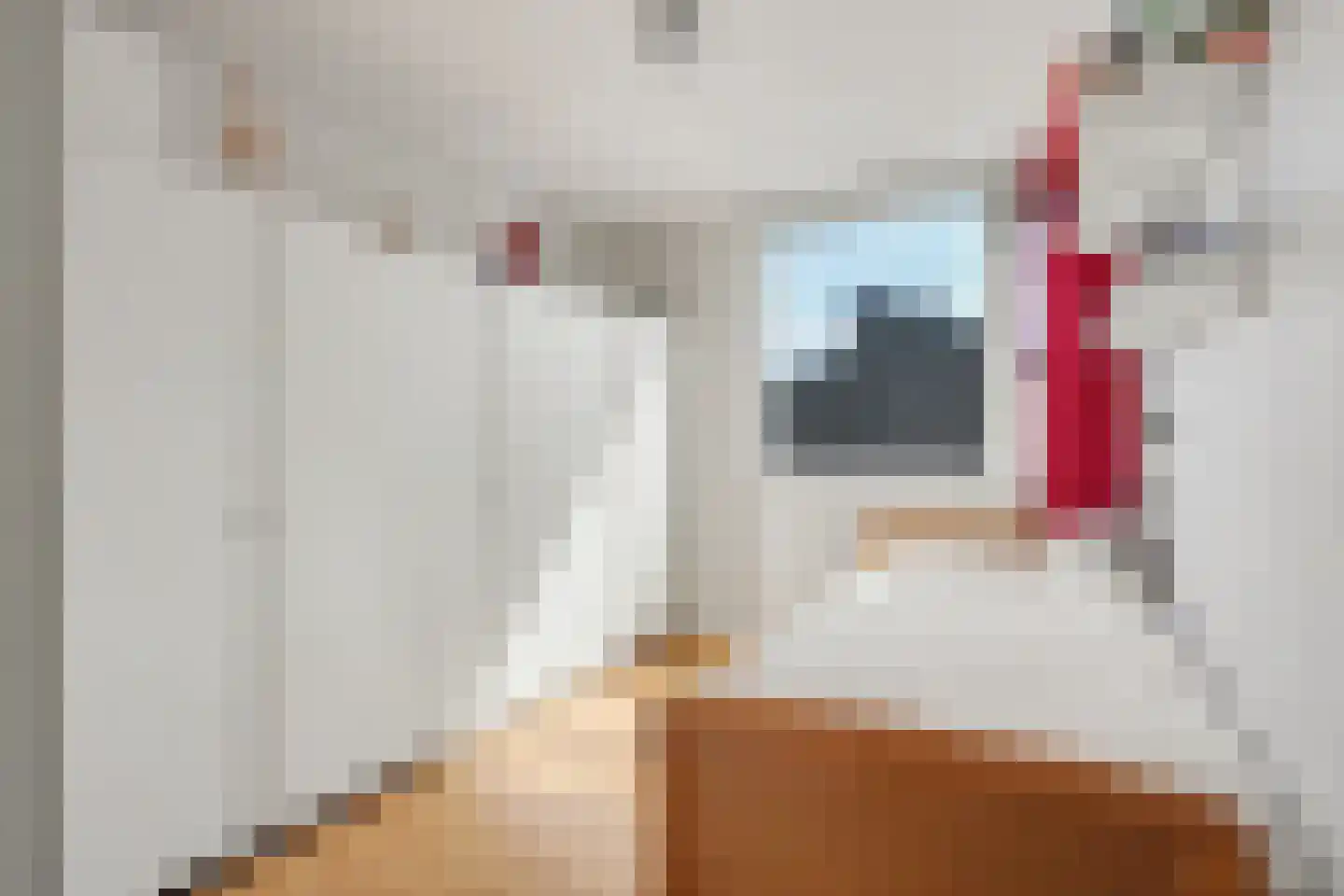 Het Zwanevlot 84 Zutphen thumbnail 18