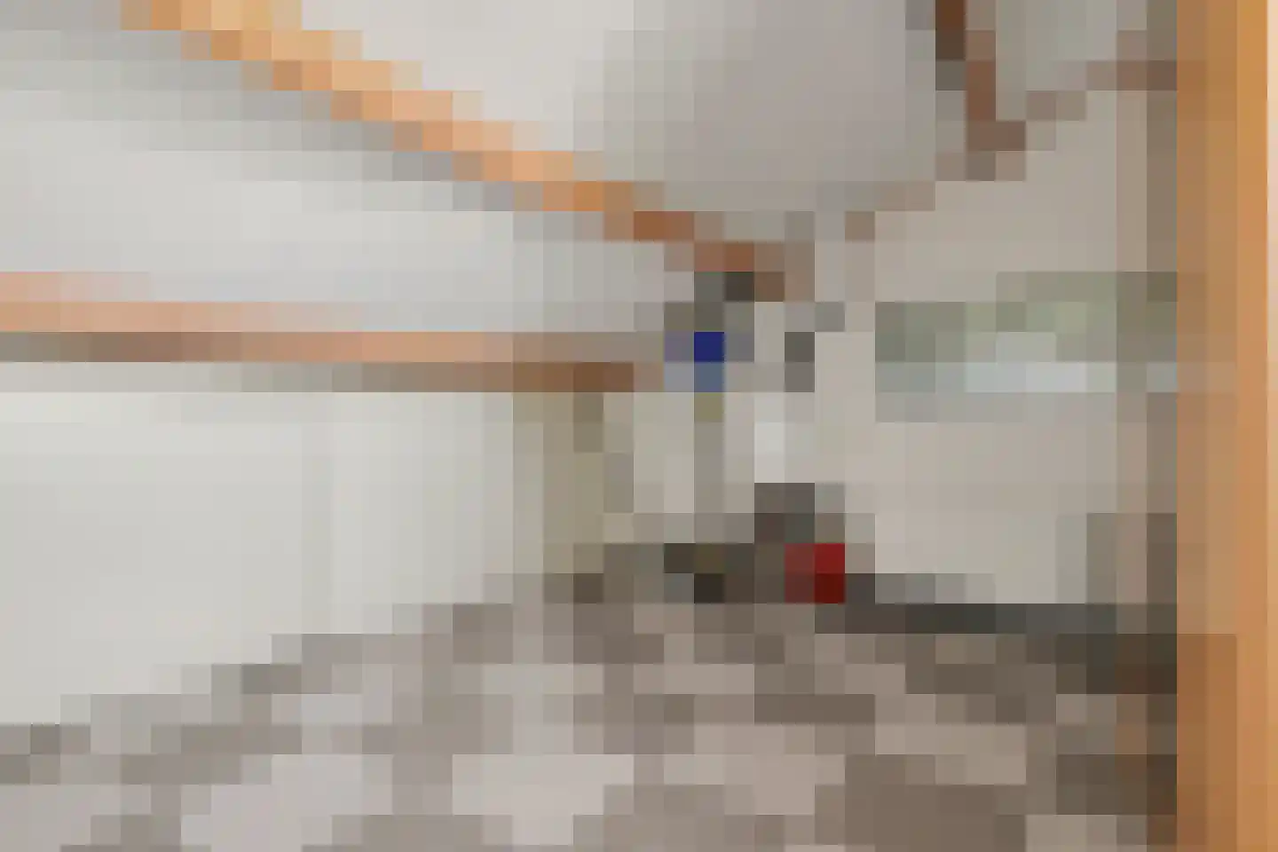 Het Zwanevlot 84 Zutphen thumbnail 35