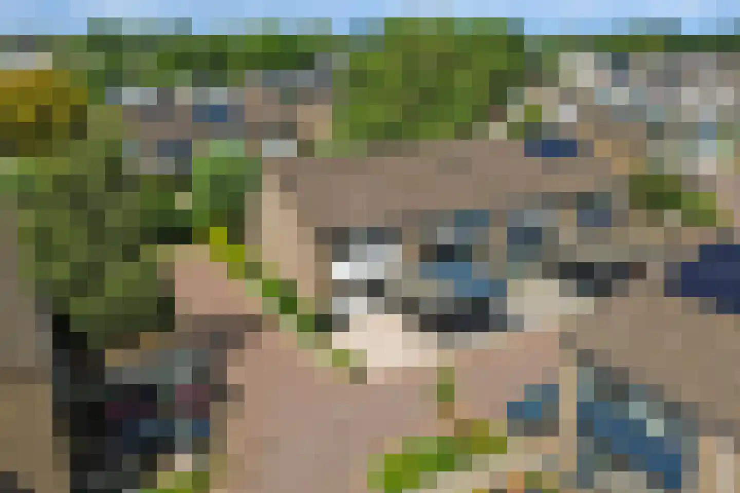 Het Zwanevlot 84 Zutphen thumbnail 42