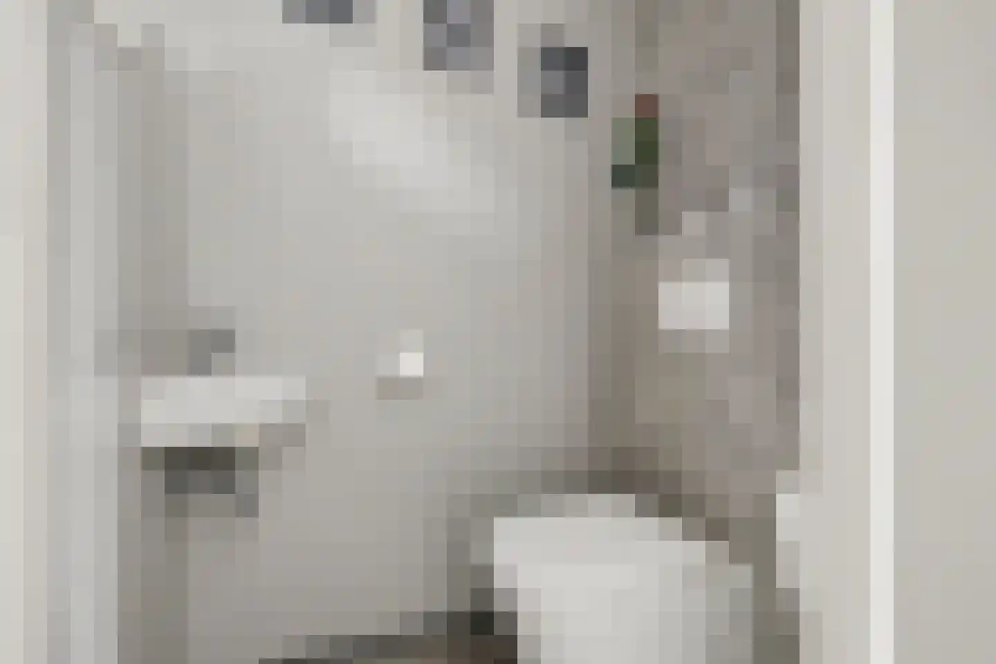 Het Zwanevlot 84 Zutphen thumbnail 7