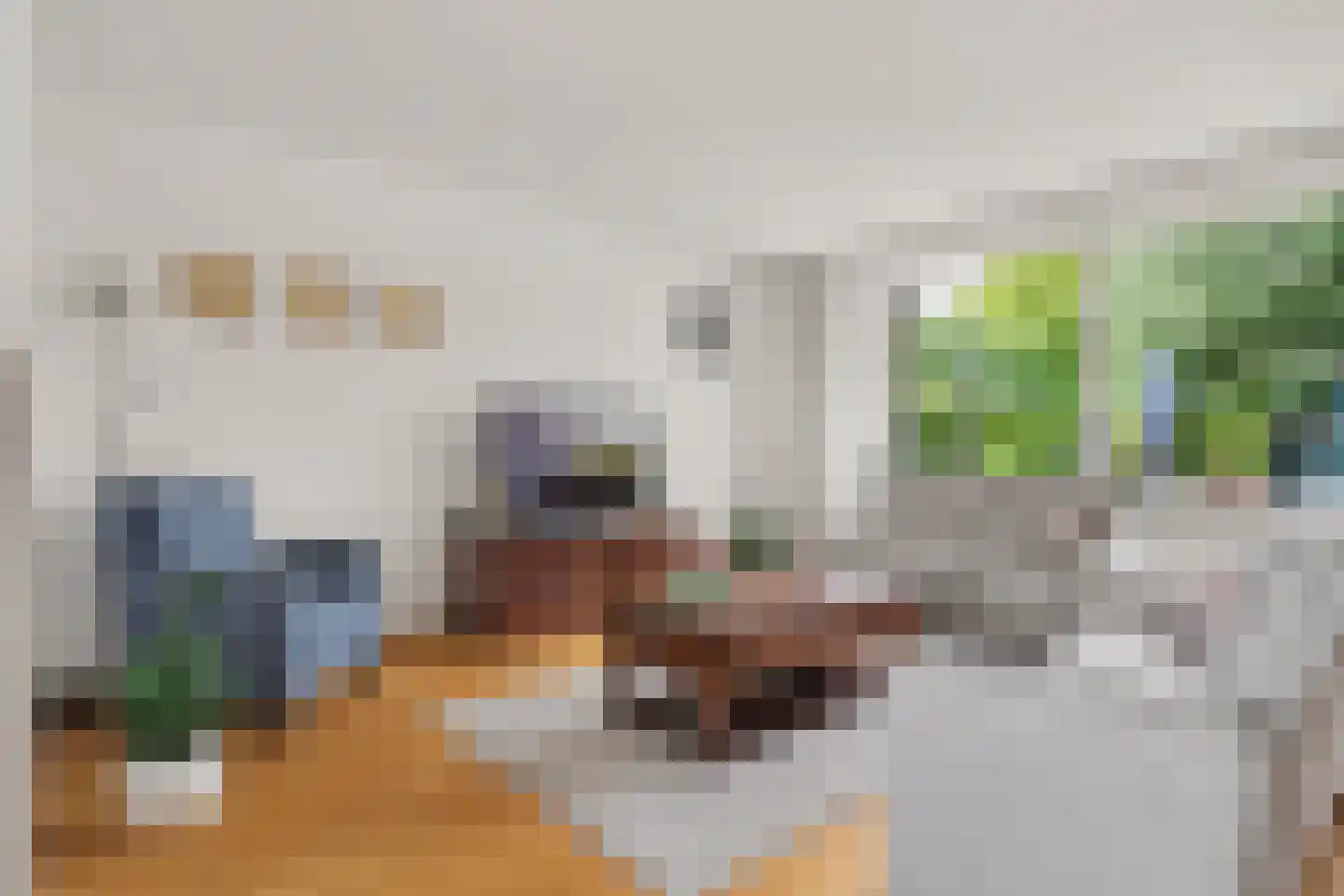 Het Zwanevlot 84 Zutphen thumbnail 9