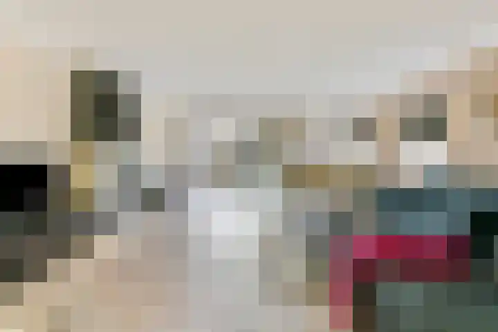 Het Zwarte Paard 2 Amersfoort thumbnail 11
