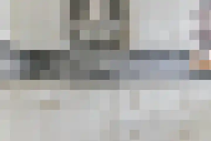 Het Zwarte Paard 2 Amersfoort thumbnail 14