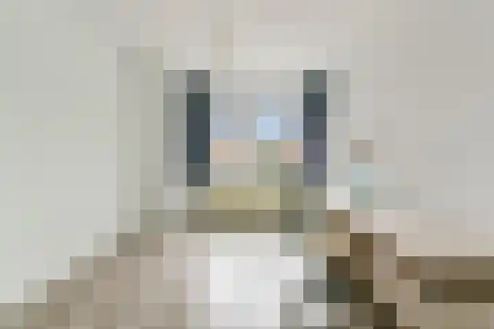 Het Zwarte Paard 2 Amersfoort thumbnail 19