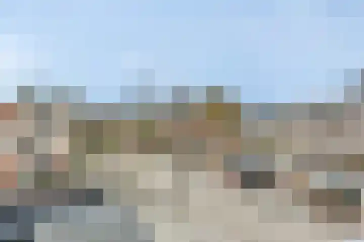Het Zwarte Paard 2 Amersfoort thumbnail 30