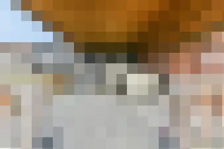 Het Zwarte Paard 2 Amersfoort thumbnail 33
