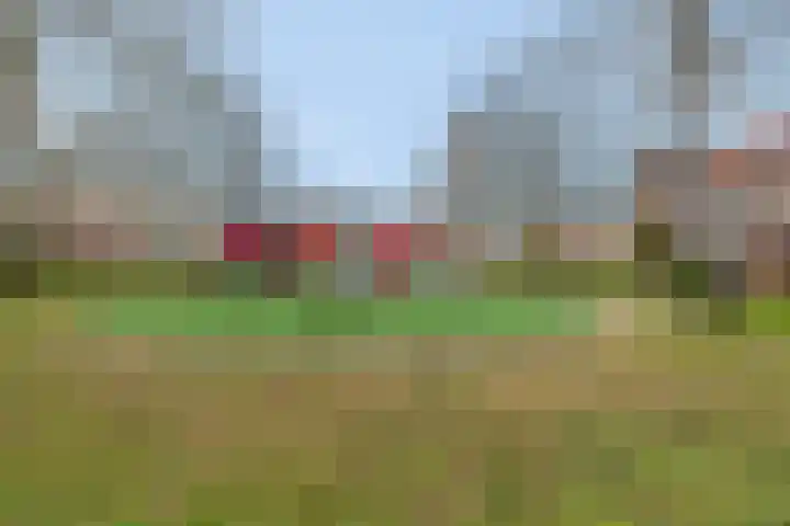 Het Zwarte Paard 2 Amersfoort thumbnail 35