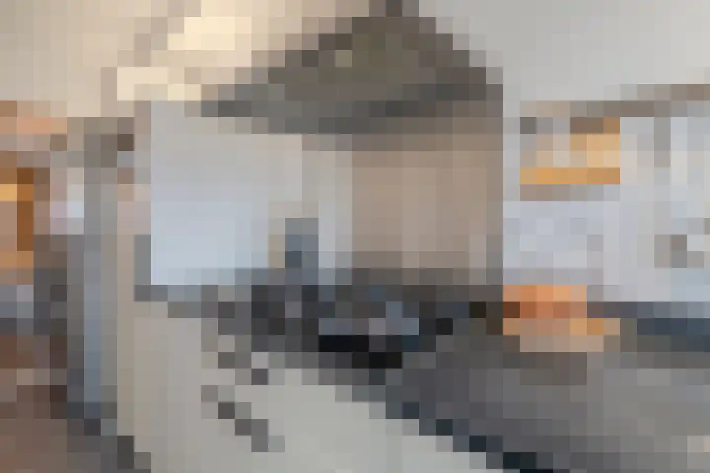 Het Zwarte Paard 4 Amersfoort thumbnail 10