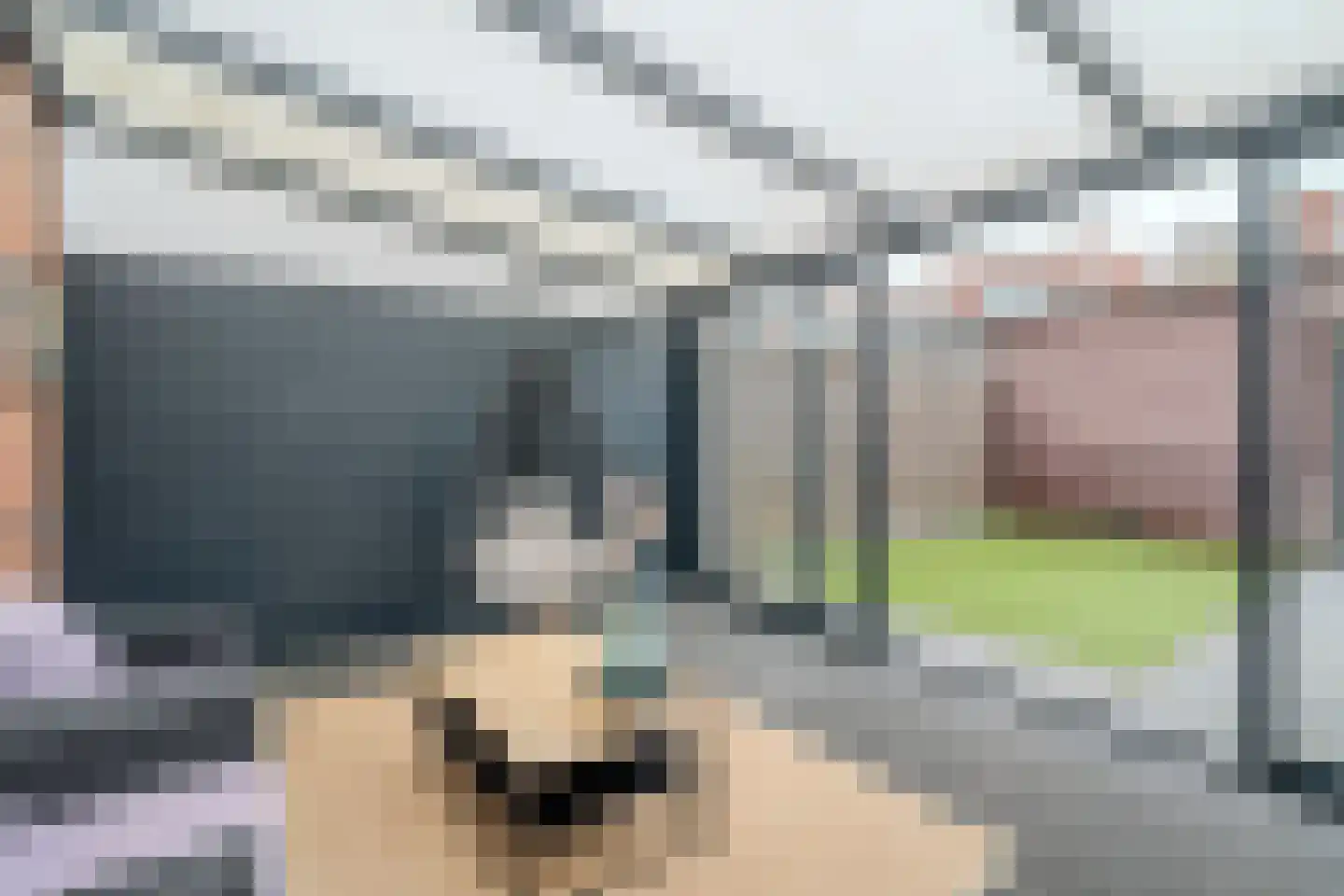 Het Zwarte Paard 4 Amersfoort thumbnail 12