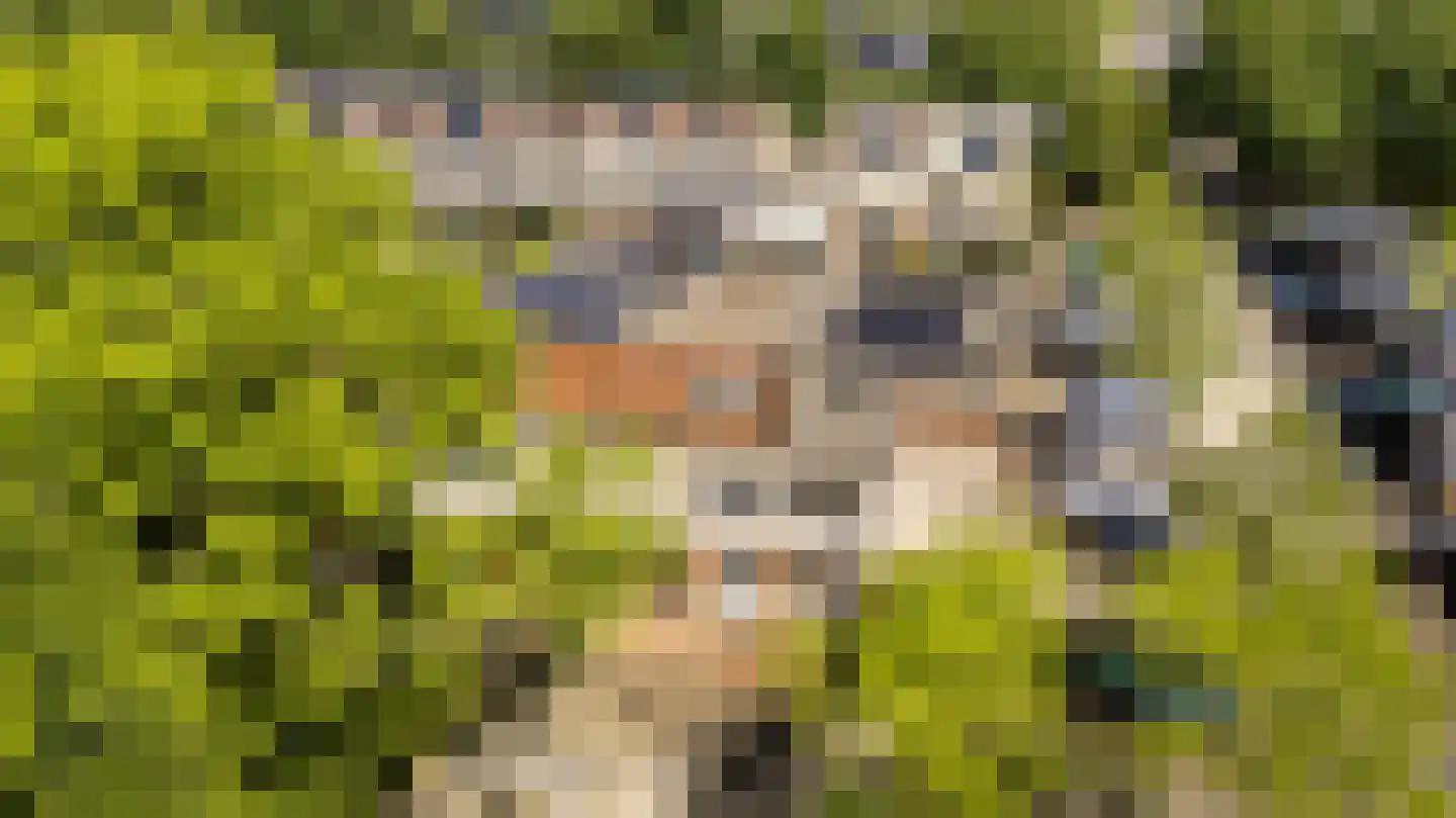 Het Zwarte Paard 4 Amersfoort thumbnail 51