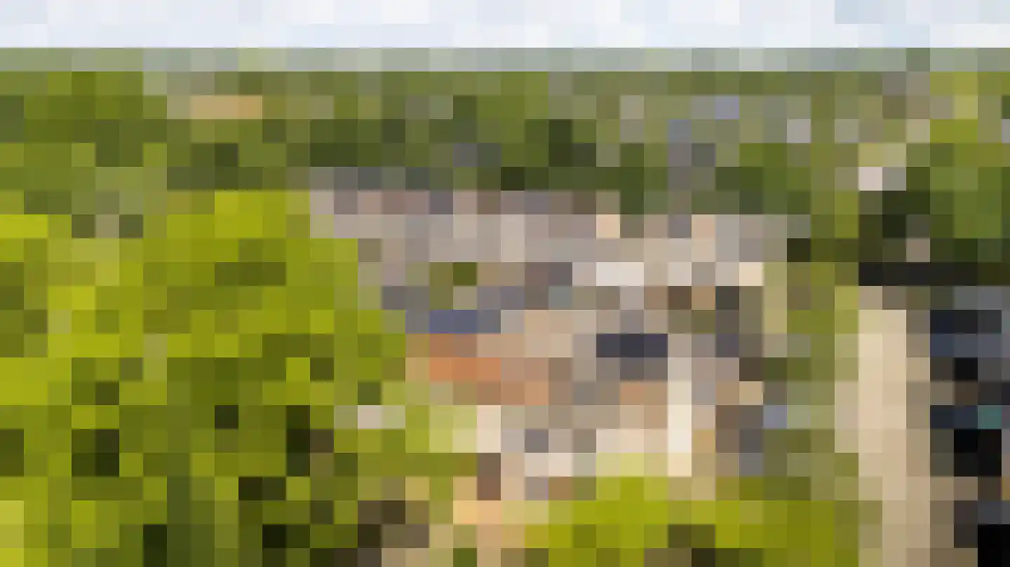 Het Zwarte Paard 4 Amersfoort thumbnail 52