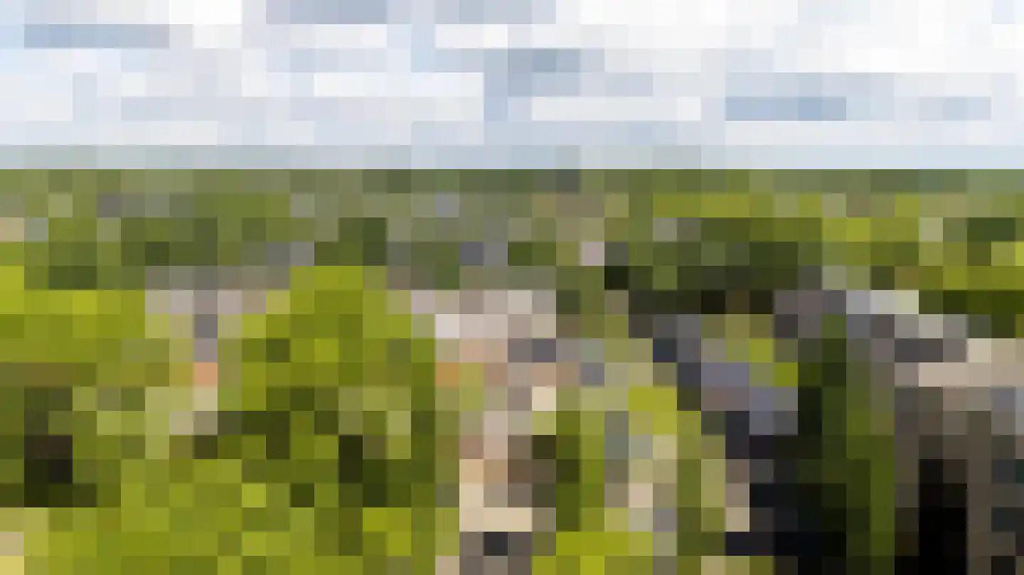 Het Zwarte Paard 4 Amersfoort thumbnail 53