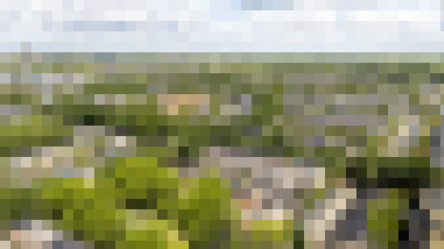 Het Zwarte Paard 4 Amersfoort thumbnail 54