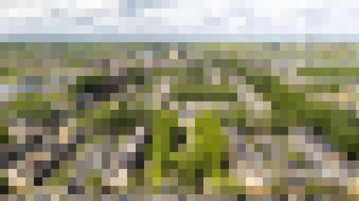 Het Zwarte Paard 4 Amersfoort thumbnail 55