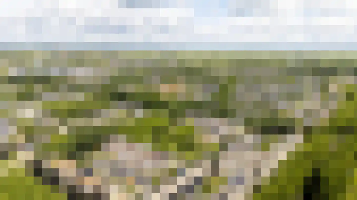 Het Zwarte Paard 4 Amersfoort thumbnail 56