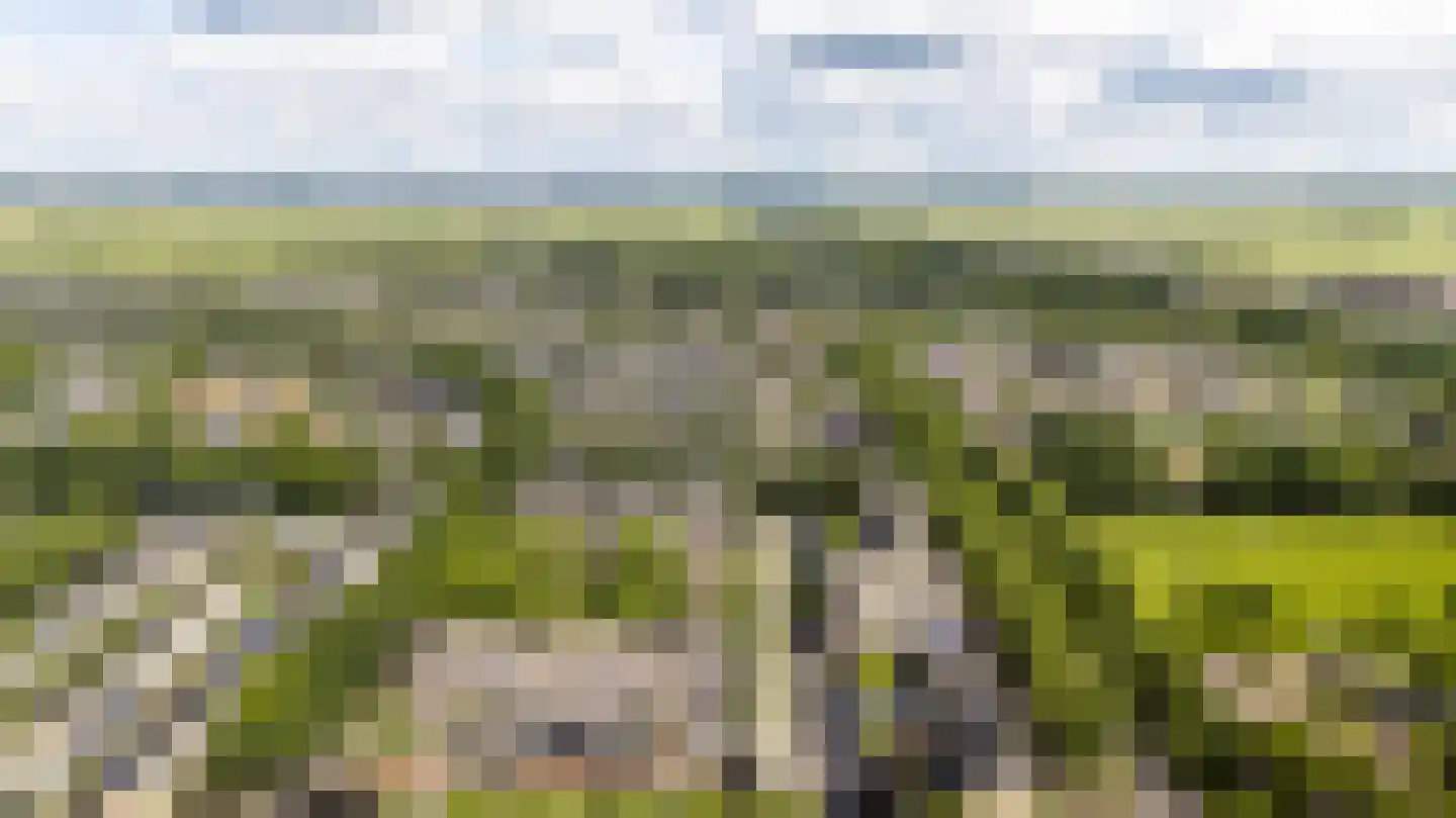 Het Zwarte Paard 4 Amersfoort thumbnail 57