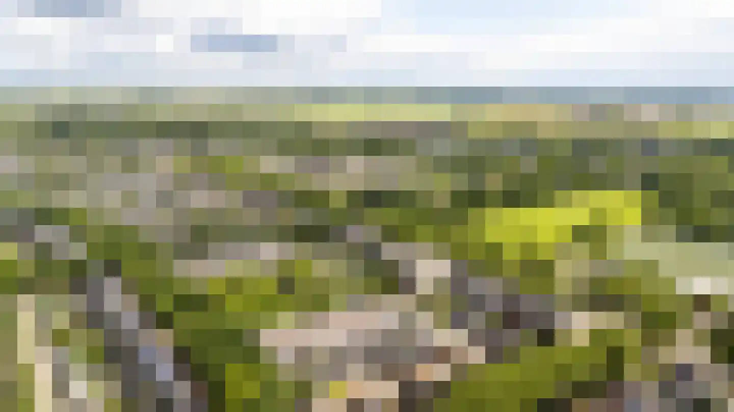 Het Zwarte Paard 4 Amersfoort thumbnail 58