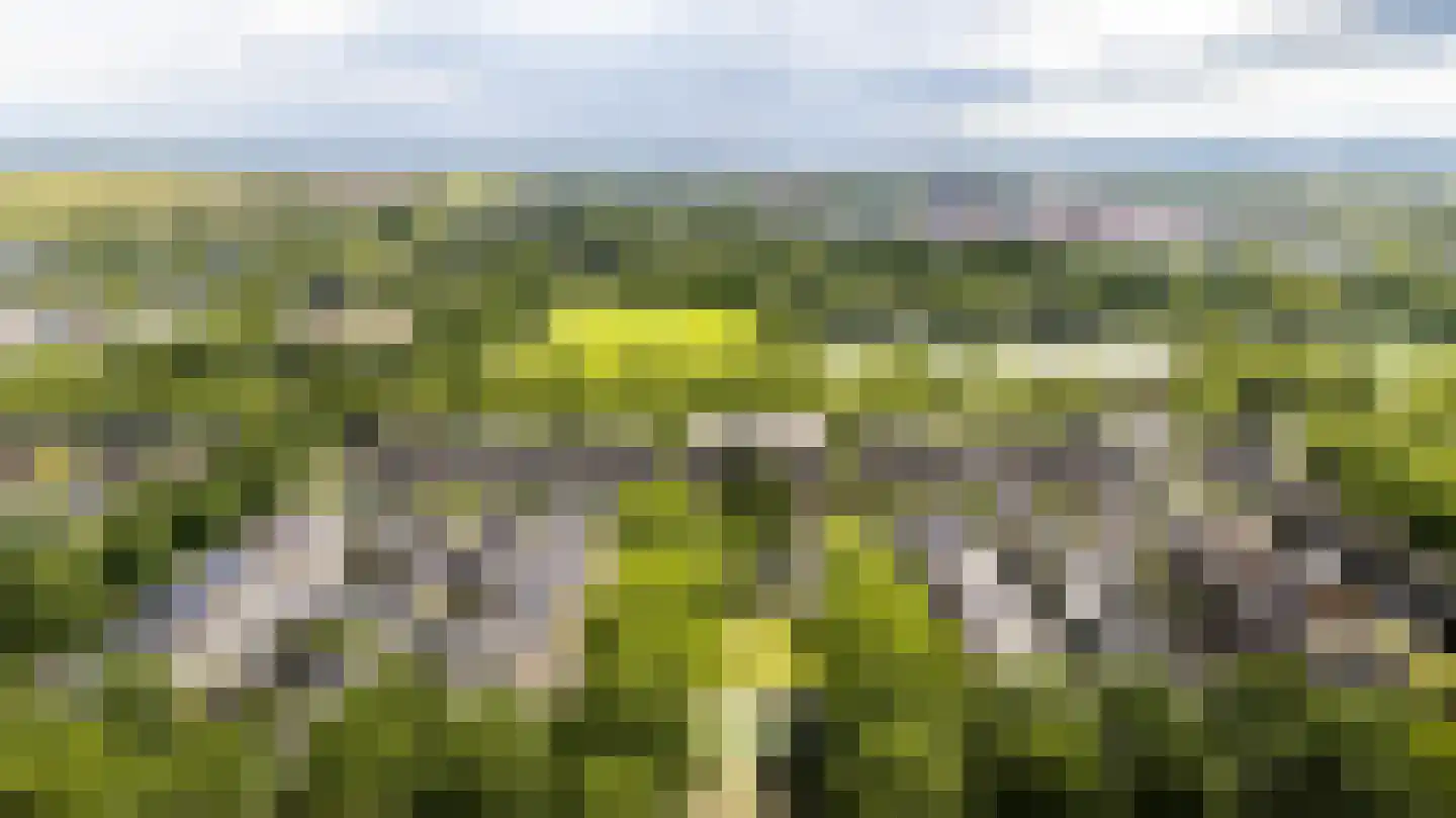 Het Zwarte Paard 4 Amersfoort thumbnail 59