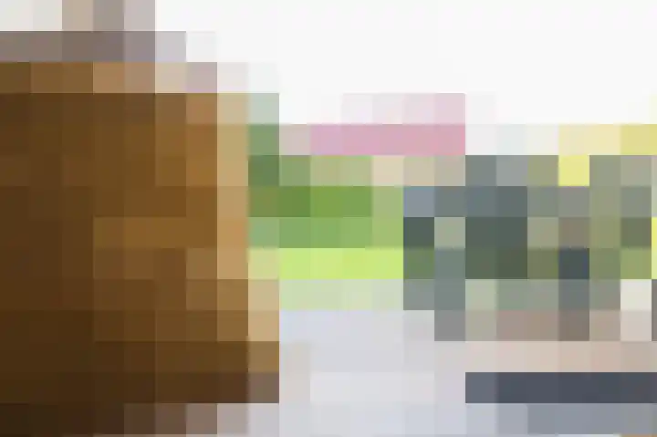 Het Zwiggelterveld 110 Zwiggelte thumbnail 22