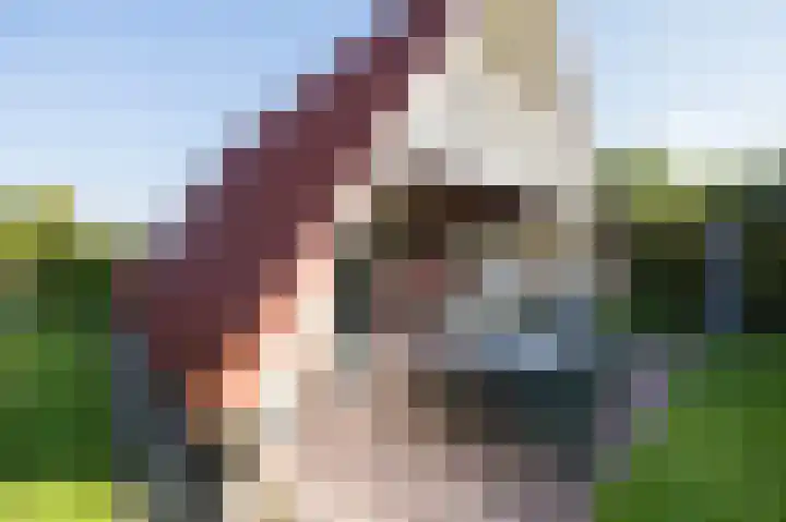 Het Zwiggelterveld 110 Zwiggelte thumbnail 23