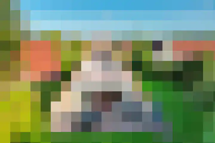 Het Zwiggelterveld 110 Zwiggelte thumbnail 32