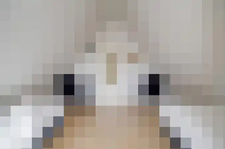 Het Zwiggelterveld 110 Zwiggelte thumbnail 34