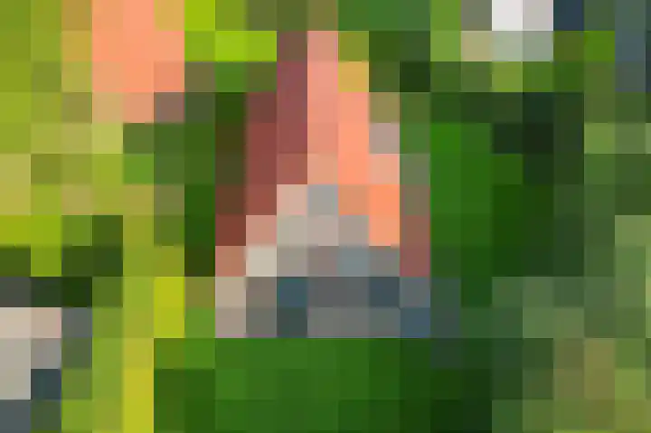 Het Zwiggelterveld 110 Zwiggelte thumbnail 35