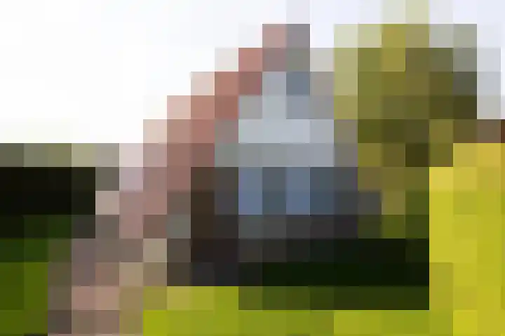 Het Zwiggelterveld 110 Zwiggelte thumbnail 37