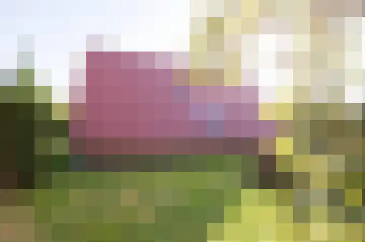Het Zwiggelterveld 110 Zwiggelte thumbnail 38