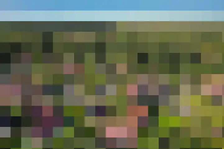 Het Zwiggelterveld 110 Zwiggelte thumbnail 39