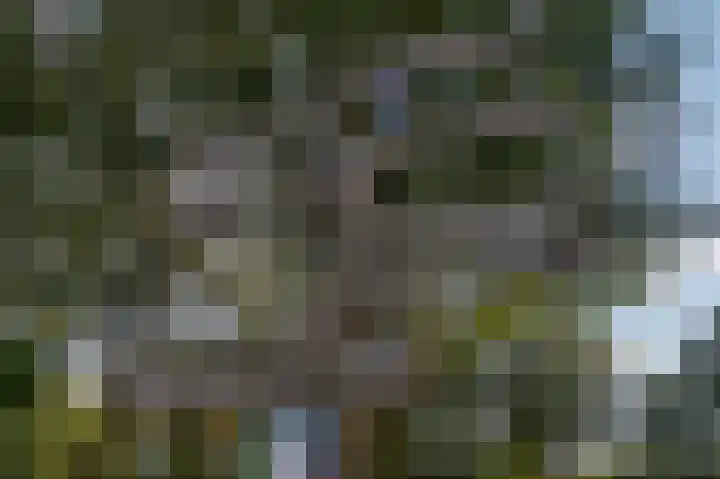 Het Zwiggelterveld 110 Zwiggelte thumbnail 42