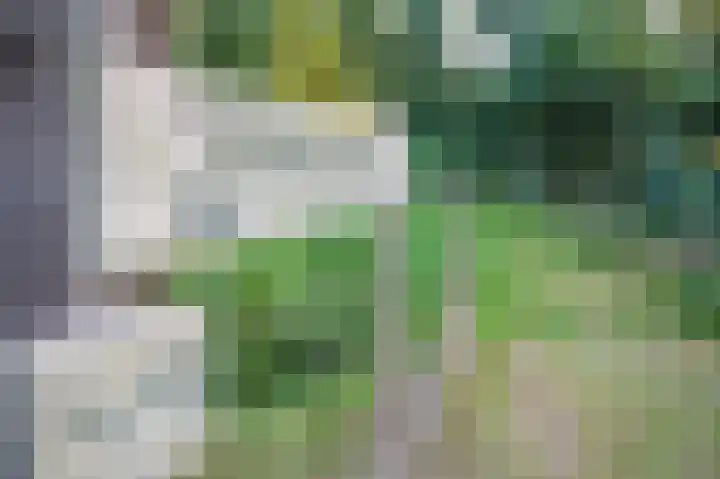 Het Zwiggelterveld 110 Zwiggelte thumbnail 43