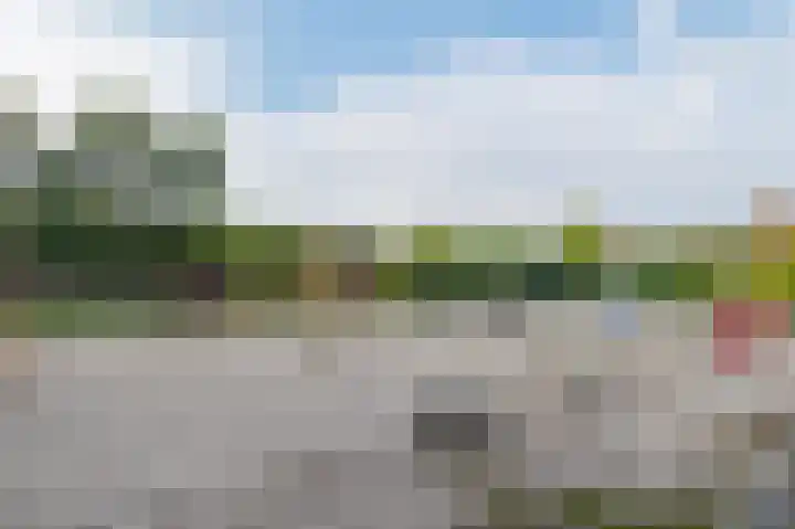 Het Zwiggelterveld 110 Zwiggelte thumbnail 47