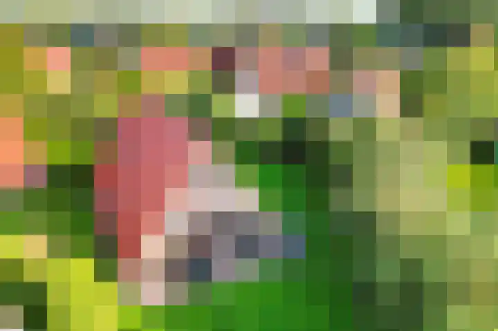 Het Zwiggelterveld 110 Zwiggelte thumbnail 5