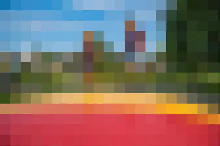 Het Zwiggelterveld 110 Zwiggelte thumbnail 50