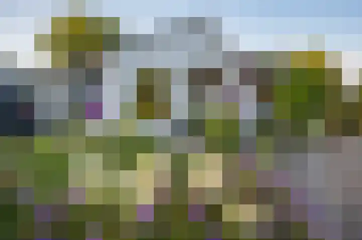 Het Zwiggelterveld 110 Zwiggelte thumbnail 53