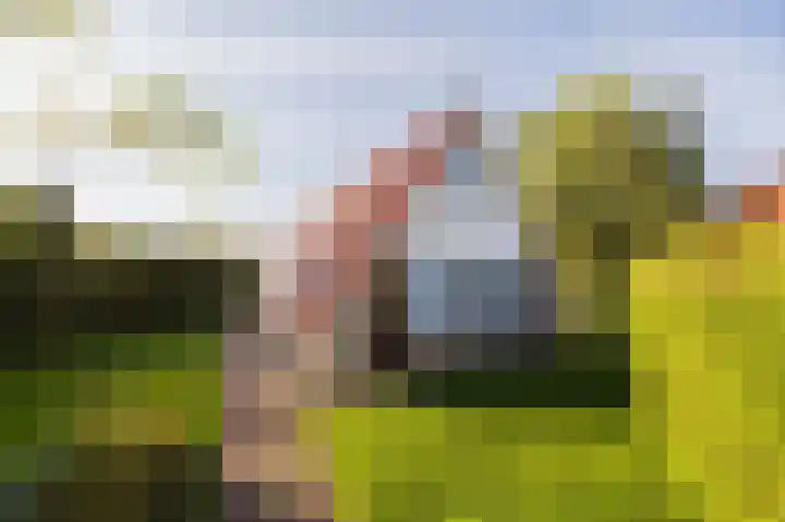 Het Zwiggelterveld 110 Zwiggelte thumbnail 6