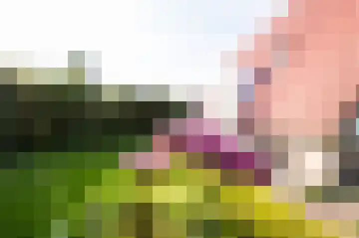 Het Zwiggelterveld 110 Zwiggelte thumbnail 7