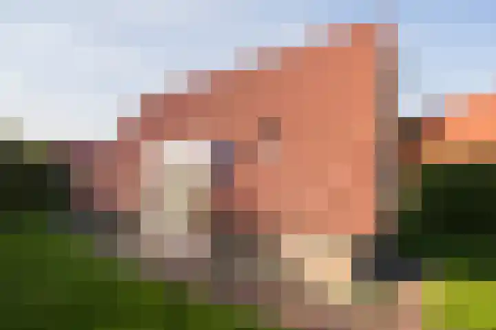 Het Zwiggelterveld 110 Zwiggelte thumbnail 8