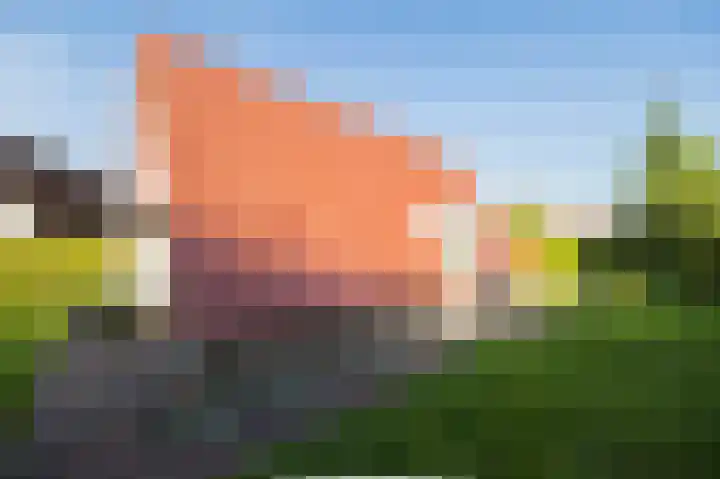 Het Zwiggelterveld 110 Zwiggelte thumbnail 9