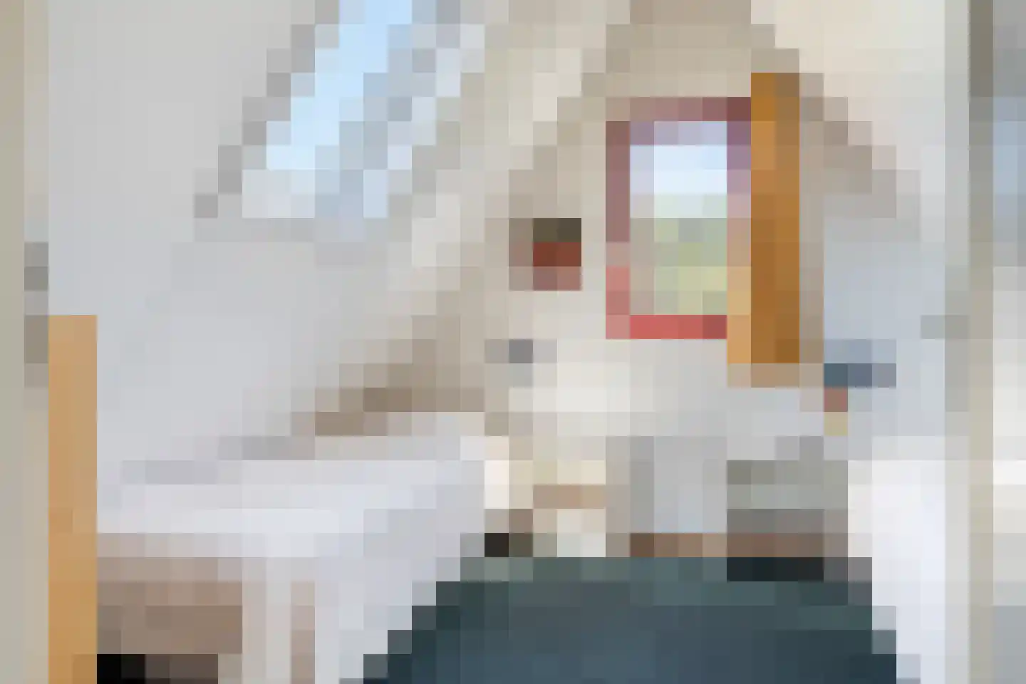 Het Zwiggelterveld 113 Zwiggelte thumbnail 11