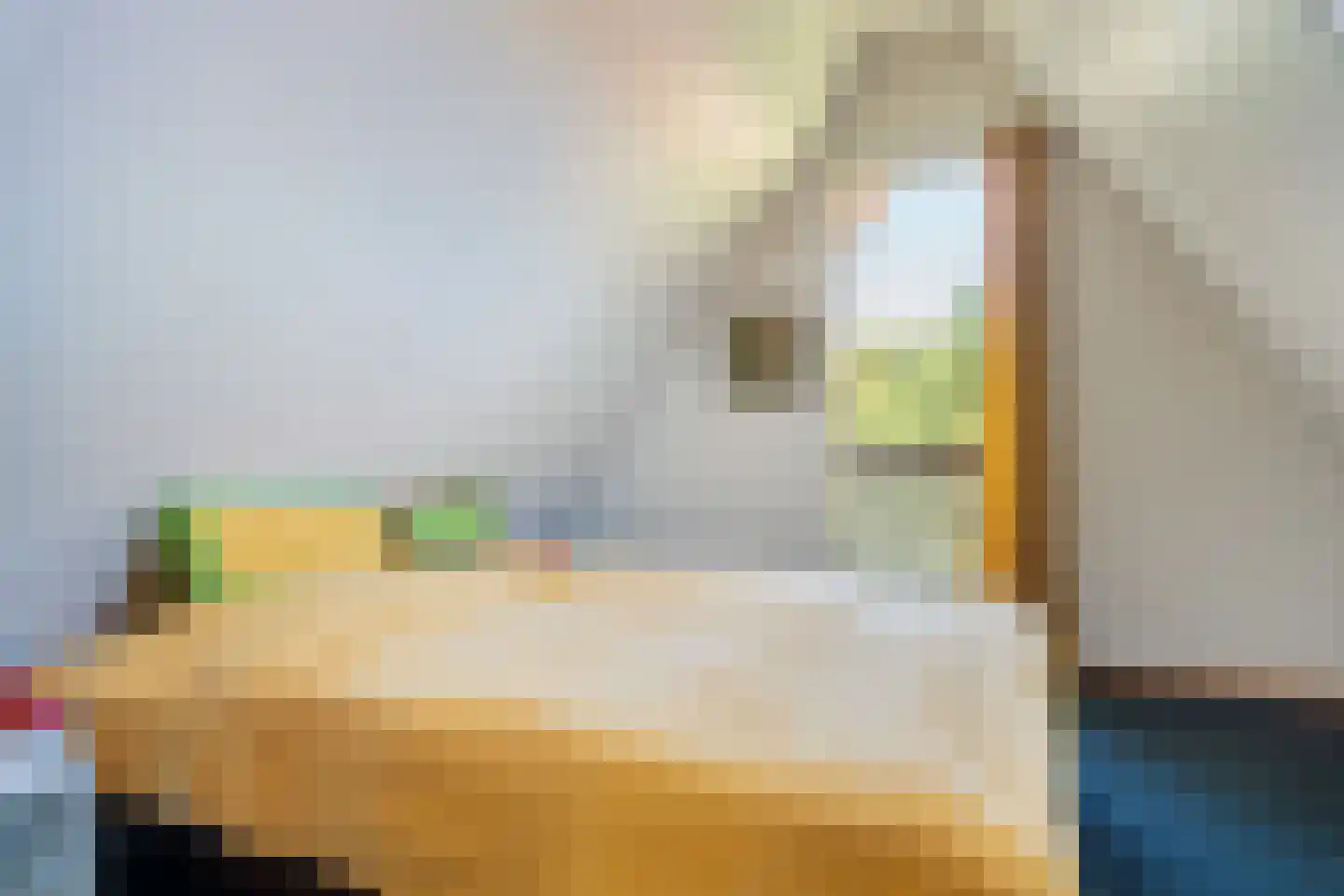 Het Zwiggelterveld 113 Zwiggelte thumbnail 13