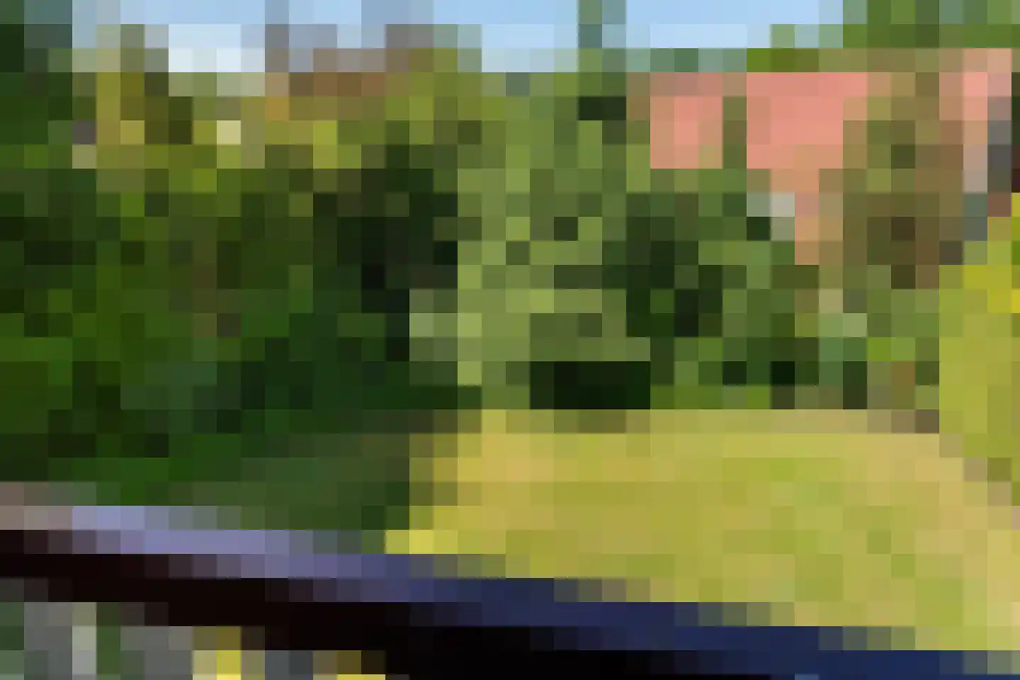 Het Zwiggelterveld 113 Zwiggelte thumbnail 17