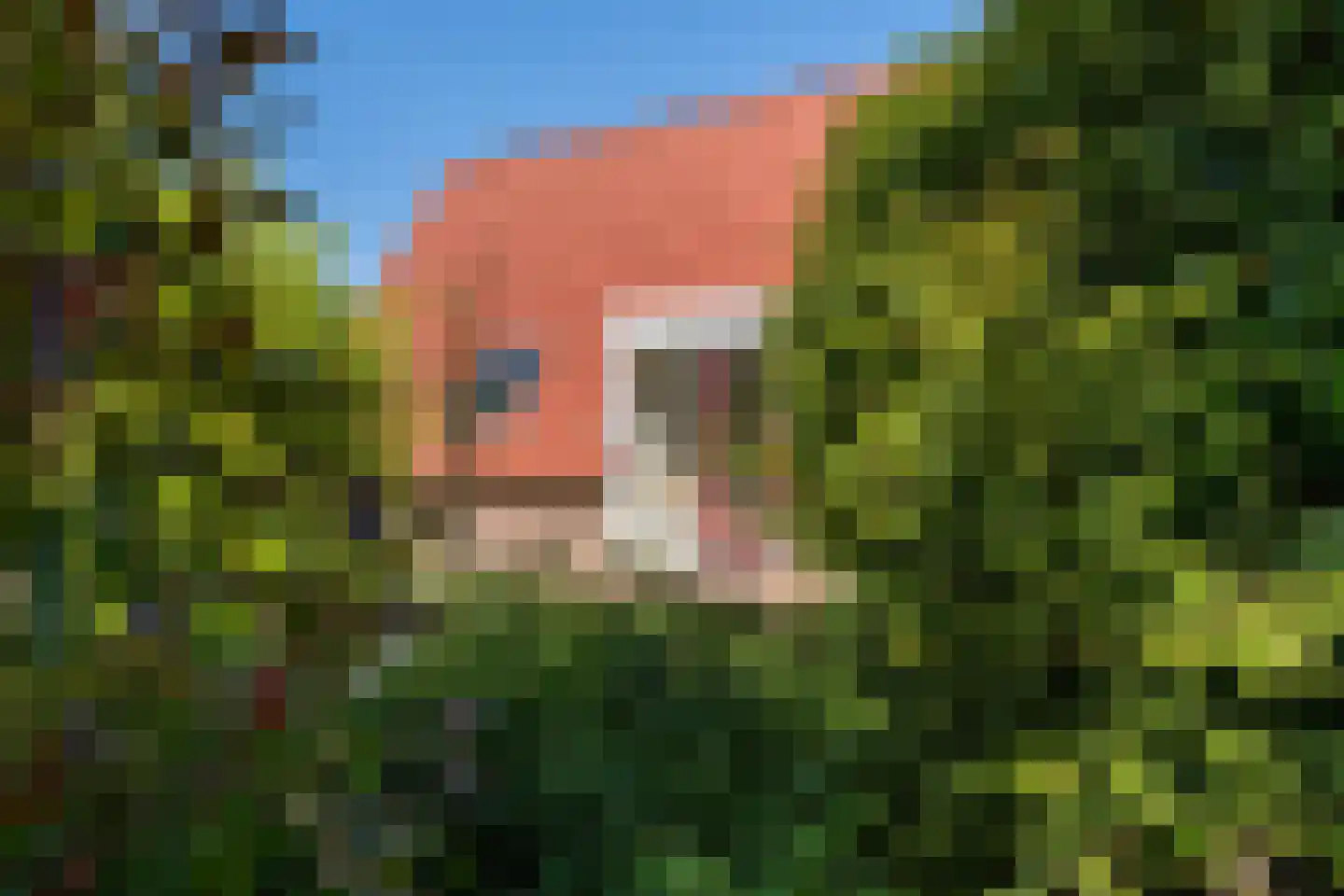 Het Zwiggelterveld 113 Zwiggelte thumbnail 21