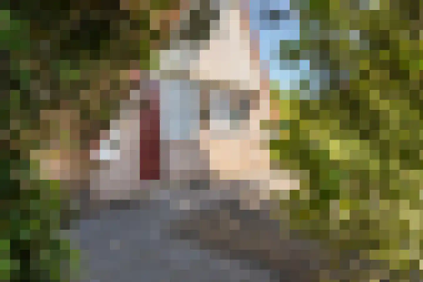 Het Zwiggelterveld 113 Zwiggelte thumbnail 22