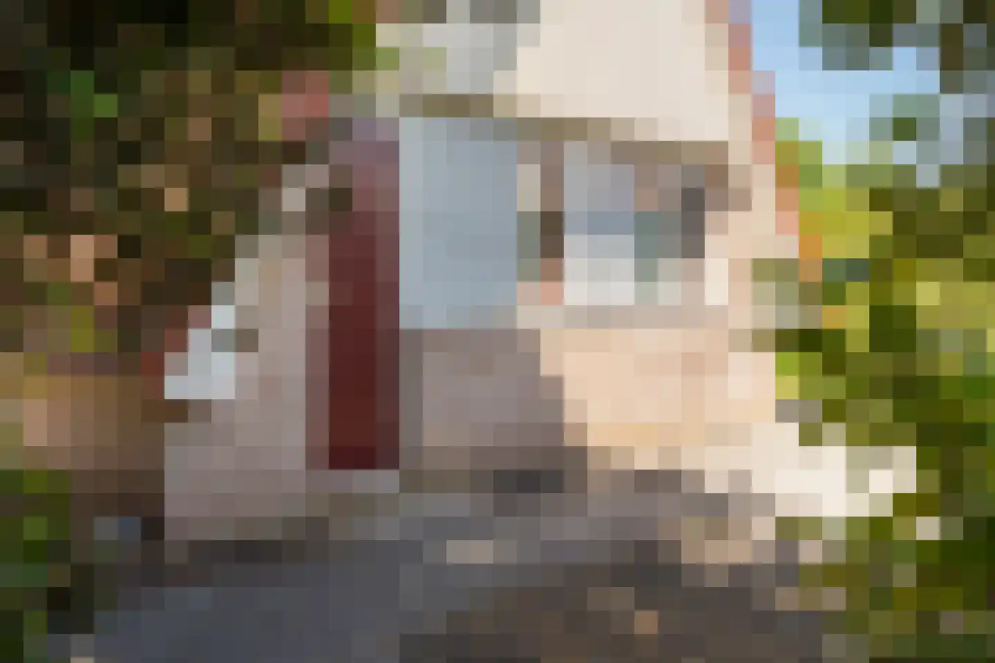 Het Zwiggelterveld 113 Zwiggelte thumbnail 23