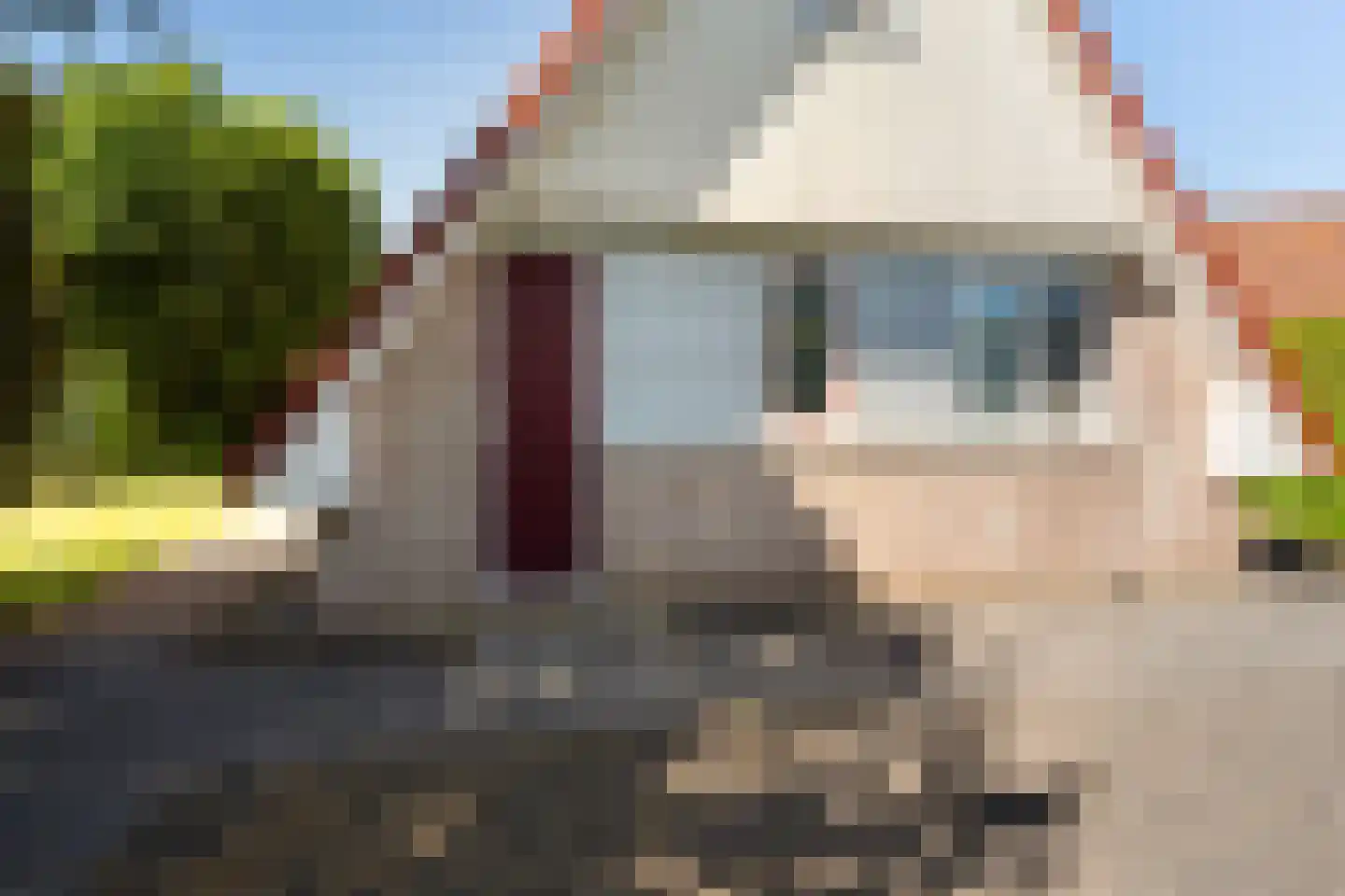 Het Zwiggelterveld 113 Zwiggelte thumbnail 24