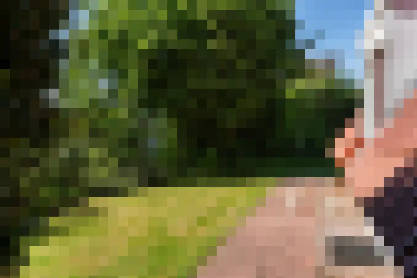 Het Zwiggelterveld 113 Zwiggelte thumbnail 25