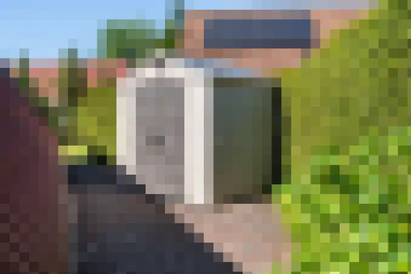 Het Zwiggelterveld 113 Zwiggelte thumbnail 27